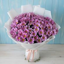Букет цветов из:  Хризантемы в Адлер