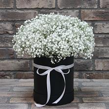Цветочная композиция из Гипсофила в шляпной коробке в Адлер