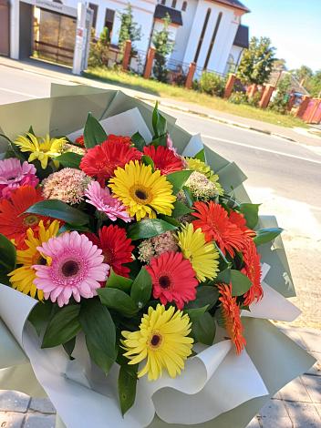 Букет цветов из: Герберы в Адлер